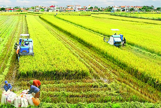 Phấn đấu đưa Việt Nam trở thành một trong những nước có nền nông nghiệp hàng đầu thế giới